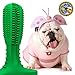 PetEstate Dog Toothbrush Stick Puppy Effective Dental Care Bristly Brushing Stick Doggy Teeth Cleaning Massager Nontoxic Natural Rubber Bite Resistant Chew Toys for Small & Medium Dogs Pets Green