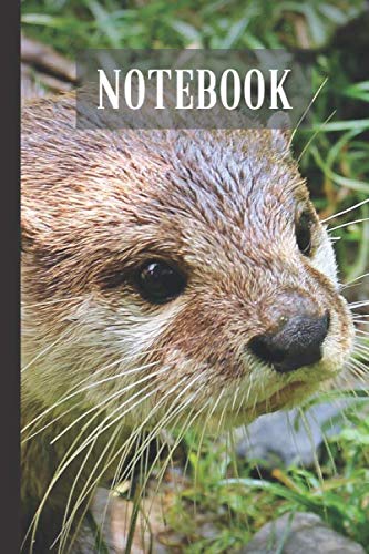 Otter Notebook: Small lined Otter notebook - Travel Journal to write in - 120 pages - 6"x9"
