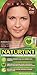 Naturtint Permanent Hair Color - 7.46 Arizona Copper, 5.28 fl oz (6-pack)