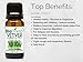 Biofinest Vetiver Essential Oil - 100% Pure Undiluted - Premium Organic - Therapeutic Grade - Aromatherapy - Promote Sleep - Best to Reduce Inflammation - FREE E-Book (10ml)