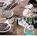 Sohapy 5.5 Inches 12 Pack Mini Food Grad Clear Plastic Kitchen Scoops for Wedding, Protein Powders,Candy Dessert Buffet,Tea,Coffee and Ice Cream