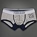 Neartime Men's Underwear, Underpants Knickers Mens Boxer Briefs Shorts Trunk (L, Gray)