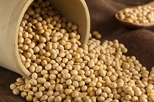 Hunza Organic Soybeans (2 lbs) - Thumbnail 3