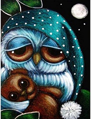 Franterd Lovely Animal Owl - 5D Embroidery Paintings - DIY 5D Diamond Painting Kit - Crystal Rhinestone Pasted Drilled - Oil Painting Canvas Diamond Painting - Rhinestone Cross Stitch Arts Craft (C)