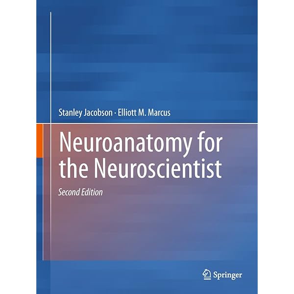 Correlative Neuroanatomy: 9780838514771: Medicine & Health Science