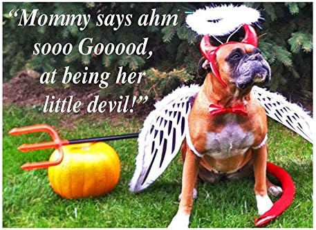 MOMMY'S GOOD DEVIL — 1 Large, funny fridge magnet, 4x6 inches (10.16 x 15.24 cm), meme decorative magnetic sign plaque, Boxer or Bulldog pet dressed in a angel-devil dog costume for Halloween