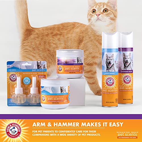 Arm & Hammer For Pets Scents Solid Gel Deodorizer in Lavender Fields