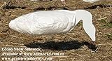 Sillosocks ECONO Snow Goose Decoys 1 dz. (SS1005) by Sillosock Decoys