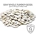Gerbs Raw Whole Pumpkin Seeds 2 lbs. | In-Shell, 10.5 mm Size, Resealable Bag | Mildly Nutty & Crunchy | Top 14 Allergen-Free