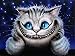 New 5D Diamond Painting Kits for Adults Kids, Awesocrafts Cheshire Cat Starry Sky Alice in Wonderland Partial Drill DIY Diamond Art Embroidery Paint by Numbers with Diamonds (Cat2)