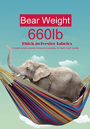 Leewos 78'' x 59'' Outdoor Double Hammock Patio Yard Beach Space-Saving Steel Stand Bed up to 450lbs Capacity with Portable Carrying Case (Tropical)