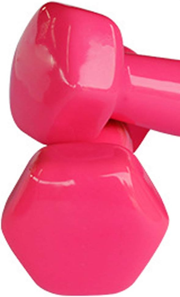 DSY Vinyl Dumbbell Hand Weight Set Gym Fitness Exercise Weight Training Dumbbells Tone York 2.5 Kg,2pcs