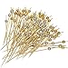 Cocktail Sticks Swizzle Picks for Fruit Sandwiches Barbeque Snacks etc Natural Bamboo Skewers for Coffee Drink Stir Stick 12 CM