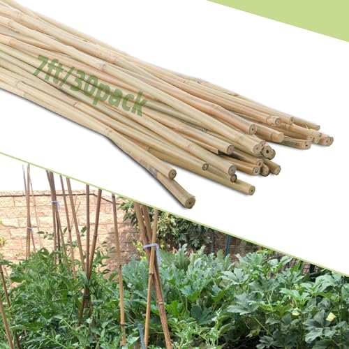 Photo 1 of 30Pcs / 7ft Bamboo Plant Stakes for Indoor Outdoor Plants, Garden Plant Support Sticks, Poles for Tomato Vegetables Beans Trees Potted Climbing Plants(0.32''-0.4'')
