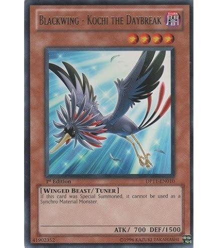 Amazon.com: YuGiOh 5D's Duelist Pack Crow Single Card Blackwing