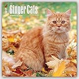 Ginger Cats 2017 Square (Multilingual Edition)