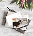 BEST PAPER GREETINGS 40 Pack Puppy Dog Postcards Bulk Set - All Occasion Assorted Blank Post Cards Greeting Bulk Box Set - 4 x 6 Inches Pet Postcards
