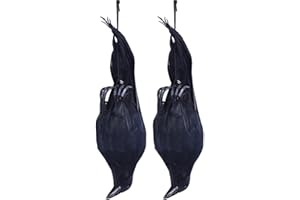 Get Rid of Crow - 2 Pack Realistic Hanging Dead Crows | Hanging Dead Crow Bird Scarer | Lifelike Full Bodied Plastice Hunting