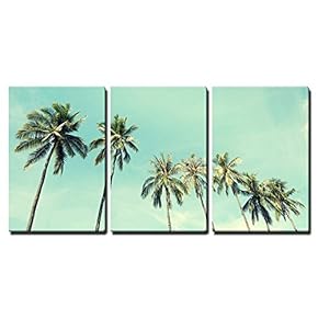 3 Piece Canvas Wall Art - Vintage Photo of Seaside Palm Trees - Home Art Ready to Hang - 16"x24"