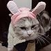 Bro'Bear Bunny Rabbit Hat with Ears for Cats & Small Dogs Party Costume Accessory Headwear (Pink Bunny, Medium)