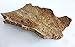 Virgin Cork Bark Flat - Medium