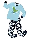 Dinosaur Pajamas Boys Cotton 2-Piece Sleepwear Big Kids Christmas Pyjama Set (Blue,3T)