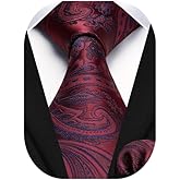 HISDERN Ties for Men Paisley Floral Tie Handkerchief Classic Woven Business Formal Necktie and Pocket Square Set Wedding