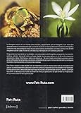 Image de Fotografía Macro: Descubre todos sus secretos