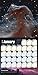 Splendors of the Universe: 2015 Astronomy Calendar with Daily Moon Images