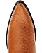 Old West Men's Fancy Stitched Ostrich Print Cowboy Boot Pointed Toe Cognac 9 D(M) US