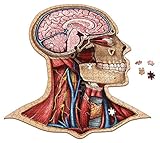 Genius Games Human Head Anatomy Jigsaw Puzzle | Dr