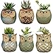 YLINGSU 2.5 Inch Owl Succulent Plants Pots Ceramic Set, Cactus Plant Pot,Mini Flower Pot, with A Hole Perfect owl Gifts (6 Pack)
