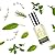 Natural Growth Hair Oil with Caffeine - Hair Growth Oil for Stronger, Thicker, Longer Hair