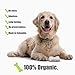 Rawhide Dog Bones Natural Long Lasting Treats with Protein for Pets Oral Hygiene 5 Count Medium Chewbones