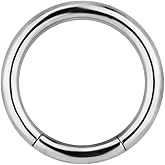 Forbidden Body Jewelry 14g 7/16 Inch Surgical Steel Segment Hoop Ring Circular Barbell