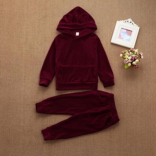 Minisoya Toddler Baby Boy Girls Warm Velvet Hoodie Casual Hooded Sweatshirt Tops Long Pants Tracksuit Outfits Set (Wine, 24M)