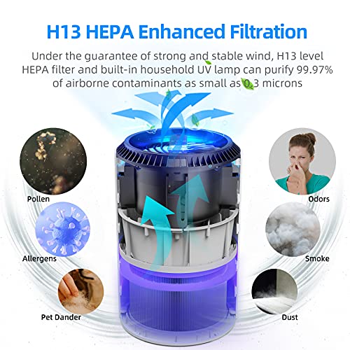 Kloudi hepa Clearance