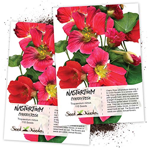 Seed Needs, Cherry Rose Nasturtium (Tropaeolum Minus) Twin Pack of 110 Seeds Each