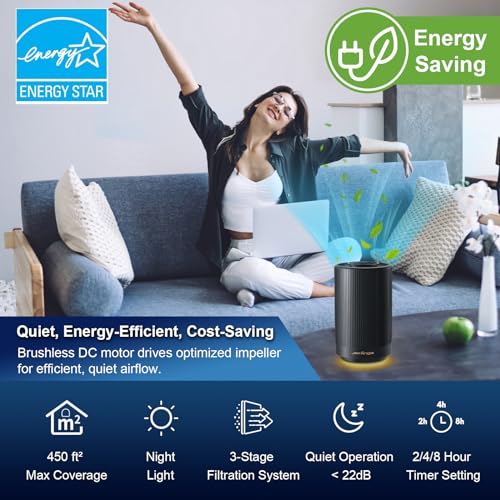 Purificador de Aire Filtro H13 HEPA, Purifica Polvo Alergias Olores, Silencioso 22dB para Recámara Oficina Departamento, Luz Nocturna Regulable (Negro)