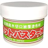 Bonsai Tree Cut Paste (SPCD02) from BonsaiOutlet
