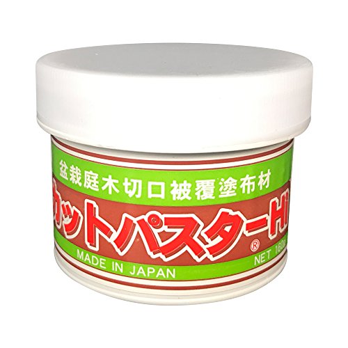 Bonsai Tree Cut Paste (SPCD02) from BonsaiOutlet