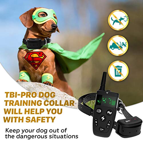TBI Pro Professional Dog Training Collar with Remote LongRange 1600