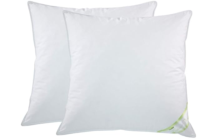 moebelfrank 2X Kopfkissen 100% Gänse-Federn Klasse 1 Kissen 80x80 Claudia