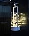 BMOUO 16.4Ft 5-Meter 50leds LED String Lights on Copper Wire LED Starry Décor Rope Lights AA Battery Powered Operated Lighting for Christmas Wedding Holiday and Party (Warm White)