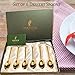 Matashi 24K Gold Plated Crystal Topped Dessert Spoon for Dinner Party Great for Testing Sampling Appetizers Corporate Gifts Christmas Mother's Day Birthday Housewarming Present Dining Decor(Set of 6)