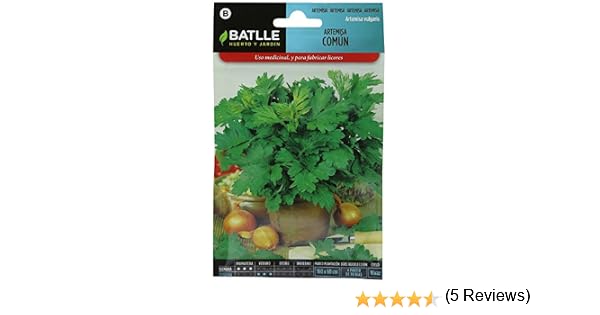 Semillas Aromáticas - Artemisa común - Batlle: Amazon.es: Jardín