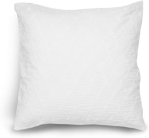 Amazon Com Rainny White Cotton Pillow Insert 18 X 18 Inch