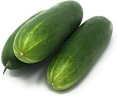 Cucumber, 1 Each