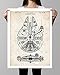 STAR WARS MILLENNIUM FALCON POSTER PARCHMENT 1979 PATENT PRINT 18X24 THE FORCE AWAKENS R2D2 3CPO BB-8 HANS SOLO SPACESHIP GIFT
