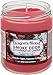 Smoke Odor Exterminator 13oz Jar Candle, Dragon's Blood